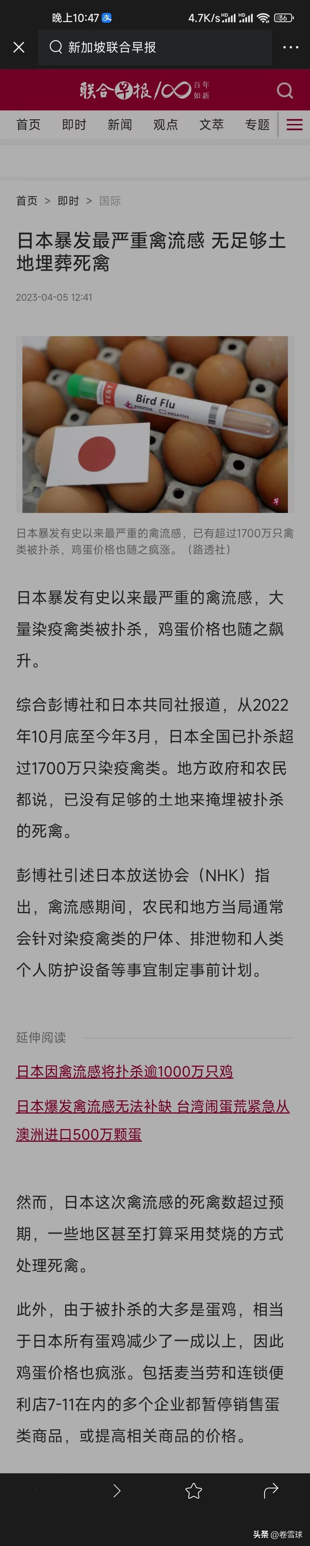 全球禽流感最新动态，防控形势及应对策略更新